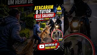 🚨 Bandidos escolheram a vítima errada 🚔 #cachorros #comportamentocanino #pitbull #pets #shorts