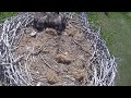 Fort st vrain eagles top camera view