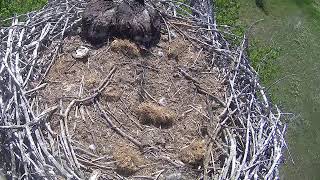 Fort St. Vrain Eagles, Top Camera View