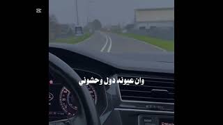 لو تسمح ياهوا - غردها