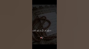 تلاوة خاشعة تهز القلوب – قرآن كريم يريح النفس #القرآن_الكريم #المصحف #تلاوة_خشوع