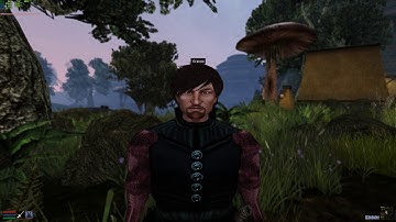 Elder Scrolls 3  Morrowind Ultra Modded - V3 (Vivec city)