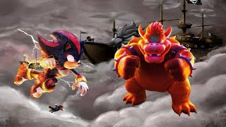 Shadow Vs. Bowser