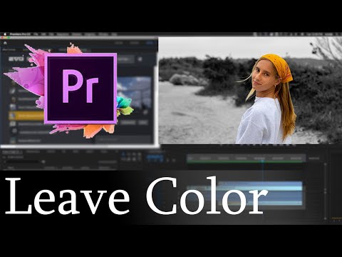 Leave Color In Video  | Adobe Premiere Pro Tutorial | Lect 20