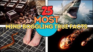 The 25 MOST Bizarre Quirky Truths Random Facts That Will Blow Your Mind