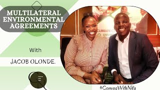State of Implementation of Multi-Lateral Environmental Agreements in Africa