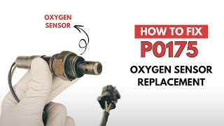 Oxygen Sensor Replacement : Fixing the P0175 Engine Error Code
