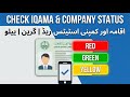 Check Your Iqama & Company Status Red, Green, Yellow Explained