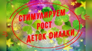 :    !  !
