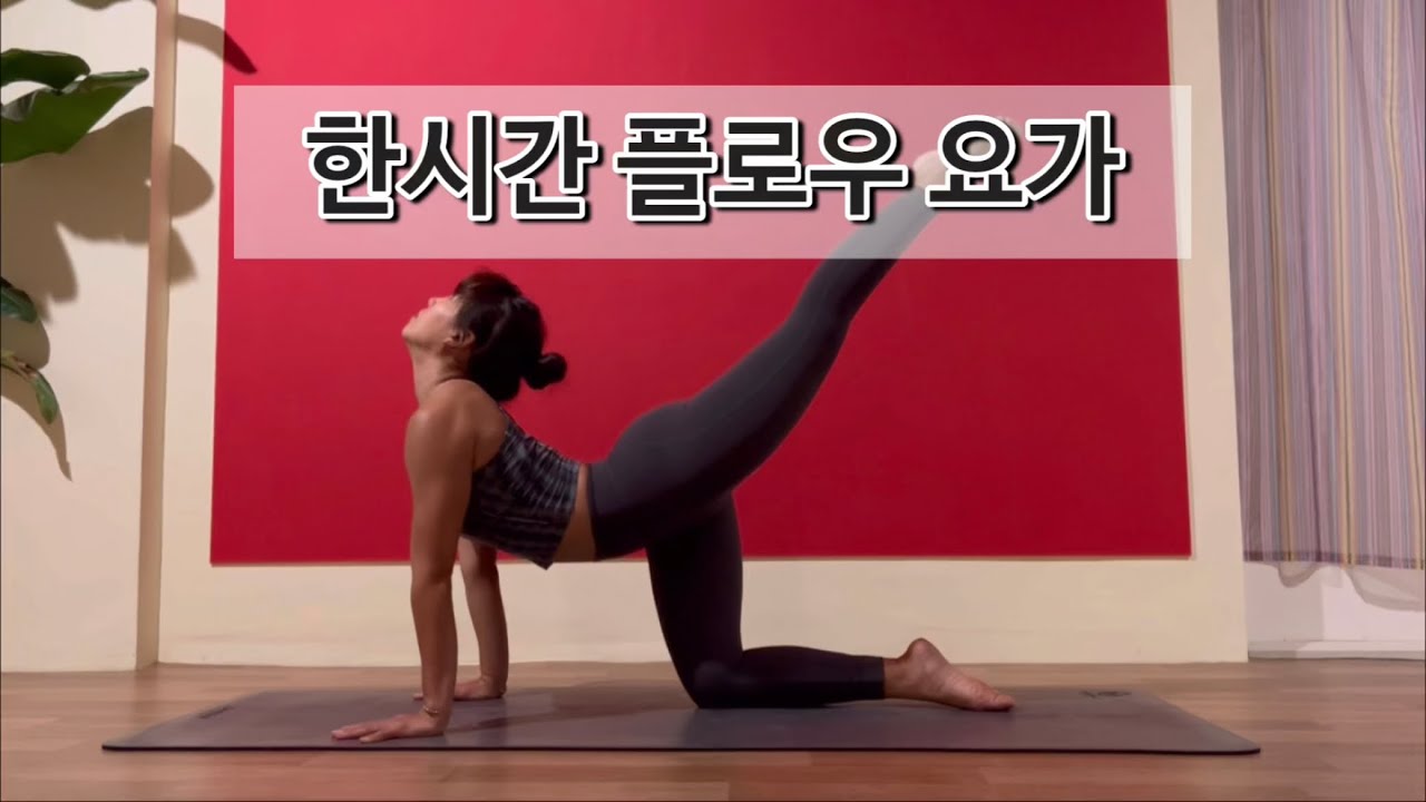 [서리요가#477]선자세부터 역자세까지 모두 들어있는 한시간 요가플로우/ 한시간 빈야사요가