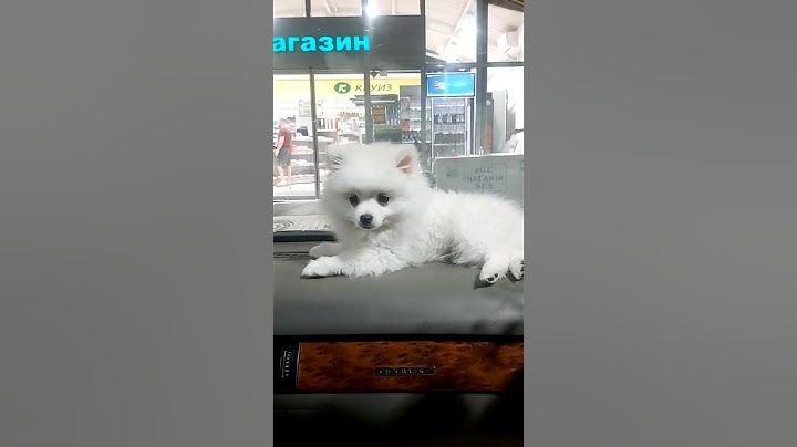 Любимото му място е тук 😅🥰