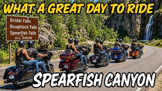 Spearfish Canyon nothing but road and music. Thanks to Kool Whip and Stinger 4, video #2511