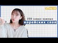 5 день -Учим с Чериш 250 необходимых корейских слов 한국어 250 단어 외우고 왕초보 탈출하기