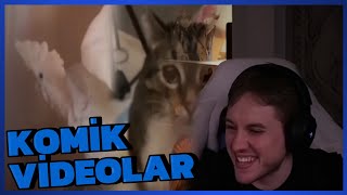 Rraenee Komik Videolar İzliyor