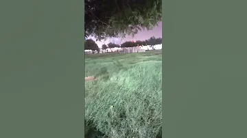 فضيلة الدكتور الشيخ سعود الشريم قرآن كريم اكسبلور راحة نفسية 