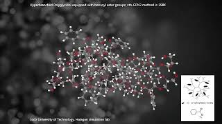 Hyperbranched Polyglycidol - Computer Simulation
