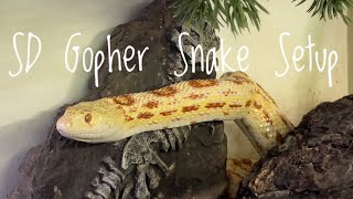 San Diego Gopher Snake Setup