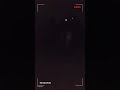 عفاريت القرشيه عفاريت القرشيه