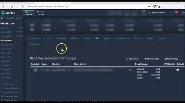 Api Tutorial for Deribit App