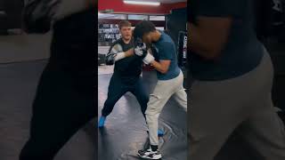Eclipse Boxing - Adults Class