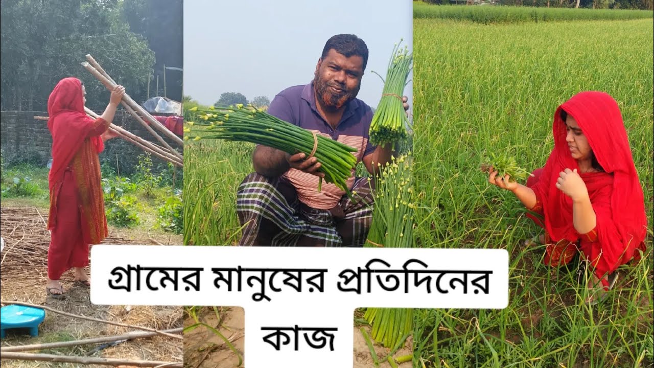গ্রামের মানুষের প্রতিদিনের কাজ।