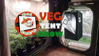 Veg Tent | Season 3 Ep 9