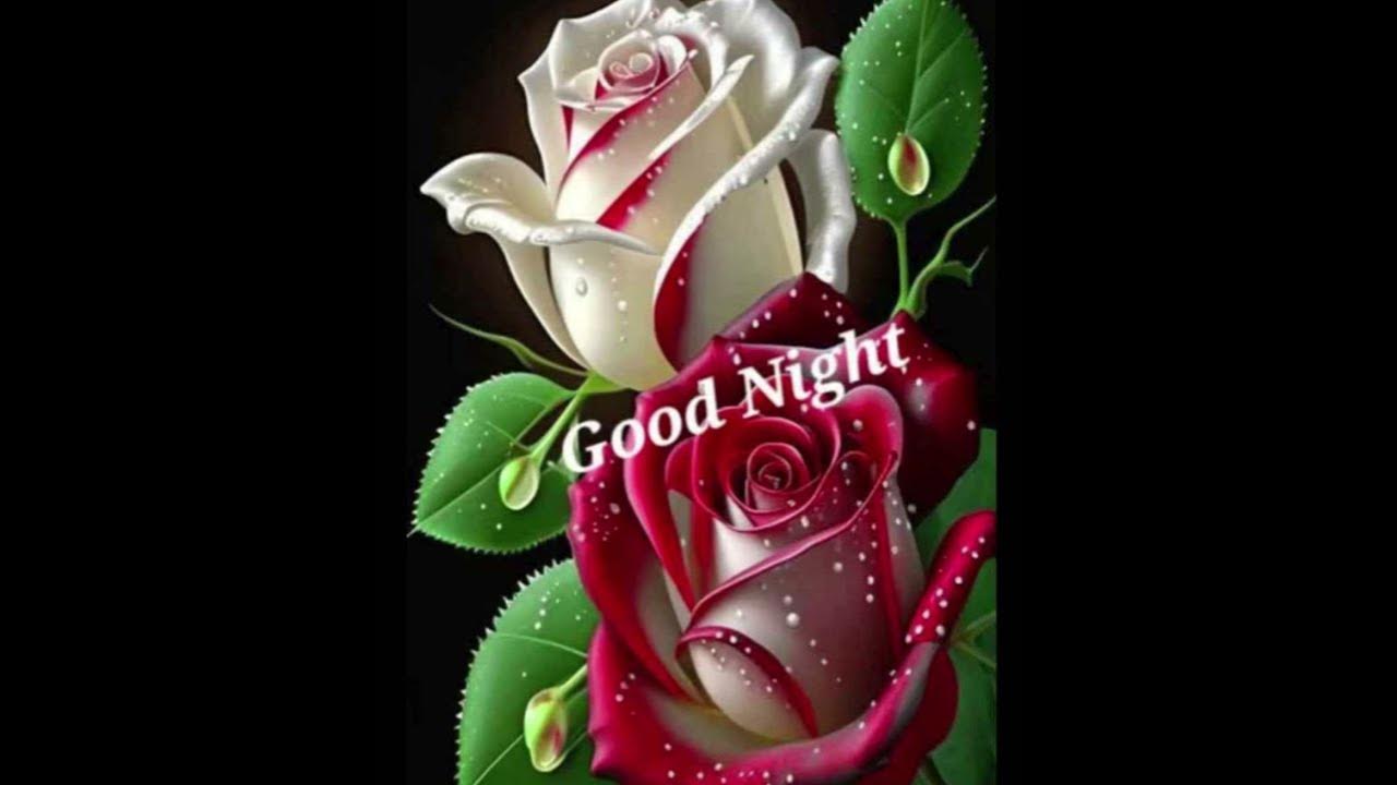 Good night songs youtube