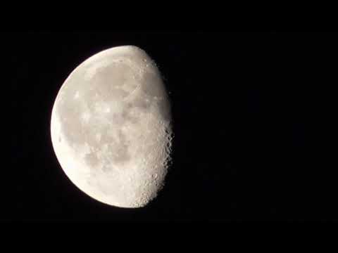 Moon Quarters and Visible Reflection