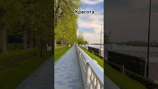 Московская Область Город Химки #Shortvideo #2023 #Душанбе2023 #Youtubeshorts #Dushanbe #Москва