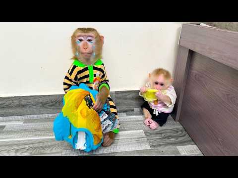 Monkey Kaka sat sadly watching Monkey Mit tear her dress.