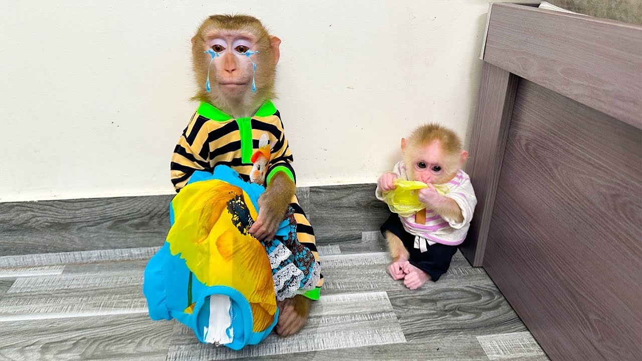 Обезьянка Кака грустно сидела и смотрела, как Обезьянка Мит рвет на себе платье.