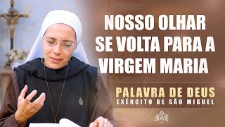 Nosso olhar se volta para a Virgem Maria (RM 6, 3-11) Palavra de Deus #259 | 16/04 | Instituto Hesed