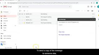 Gmail Unit 3, Lesson 2: Writing and Sending a Message