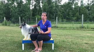 Dewclaw Function 101
