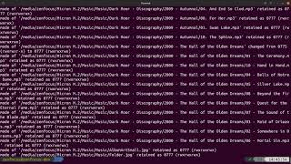Changing permissions on internal drives in Linux