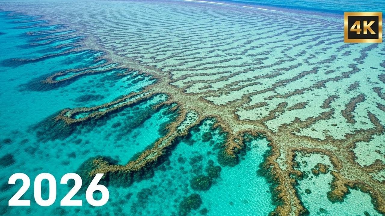 Smooth Deep House Mix 2026 🍹 Relaxing Lounge Vibes for Summer & Poolside Vol.59