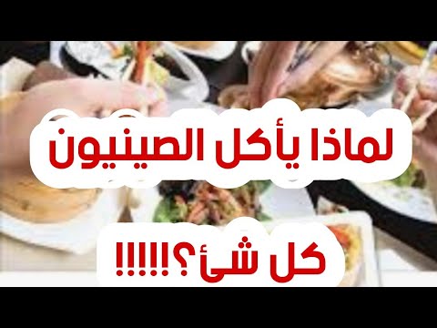 لماذا يأكل الصينيون كل شئ
