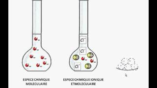 Qu Est Ce Qu Une Espece Chimique