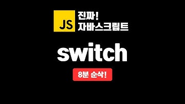 switch 조건문 | 진짜 자바스크립트