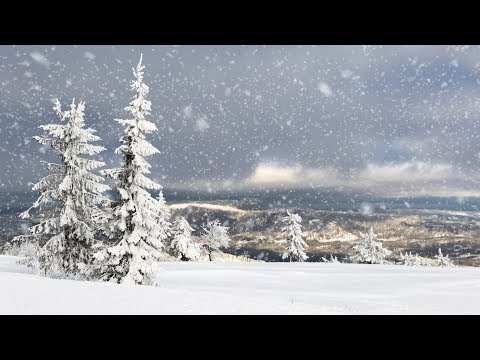 Video: Kjære Julenissebrev' Viser Hvor Vanskelig Pandemien Har Rammet Barn Emosjonelt