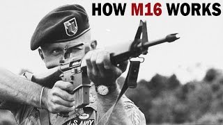 How M16 Rifle Works | XM16E1 | US Army Training Film | 1966