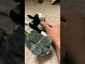 My cat want to fight, but the other one slapper her and she cry  ￼