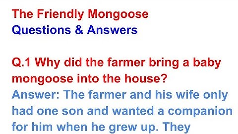 The Friendly Mongoose | Question Answer | A Pact With The Sun | NCERT English Class 6 | Chapter 2
