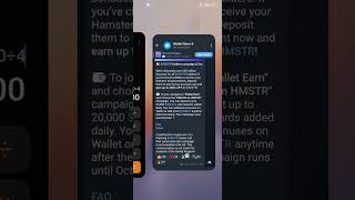 Hamster Kombat price prediction using Telegram wallet campaign analysis 1 000 HMSTR x 0 05 50