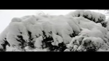 سورة البقرة من الأية 30 الي الأية 61 بصوت الشيخ عبدالله الجهني