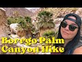 Borrego Palm Canyon Trail - Anza Borrego State Park