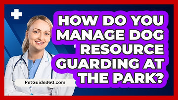How Do You Manage Dog Resource Guarding At The Park? - PetGuide360.com