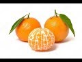 NOTPAROLO (MIA MANDARINO GUSTIS KVAZAŬ CITRONO)