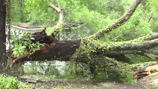 Sever weather across ENC: Damage in Washington