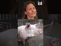 The complex relationship between fish and pigs | Helen Czerski